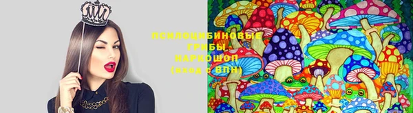 MDMA Гусиноозёрск