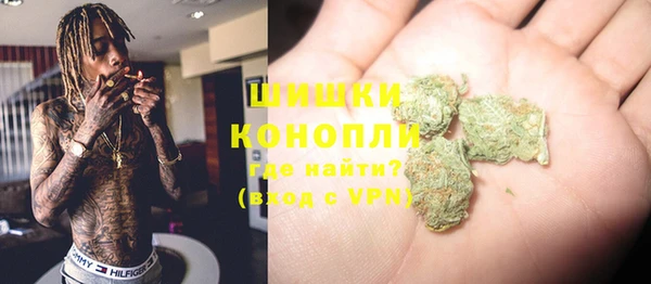 твердый Мегион
