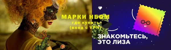 гидра Гусь-Хрустальный