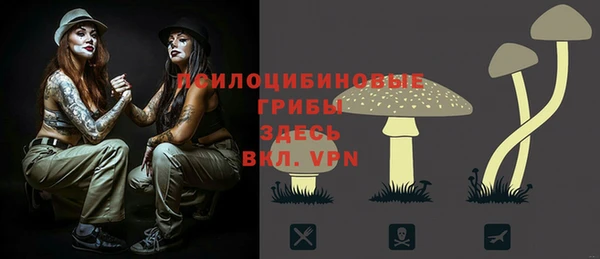 MDMA Гусиноозёрск