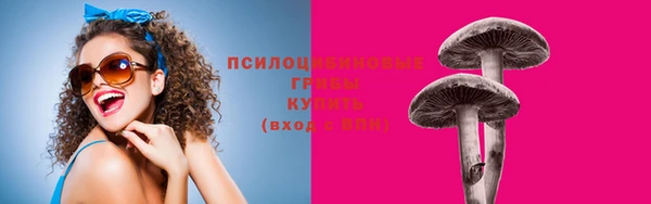 mix Гусев
