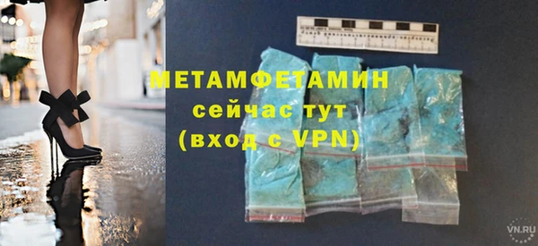гидра Гусь-Хрустальный