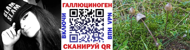 ссылка на мегу ссылки  купить наркоту  Новохопёрск  Псилоцибиновые грибы мухоморы 
